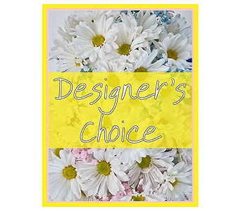 Designer's Choice - New Baby